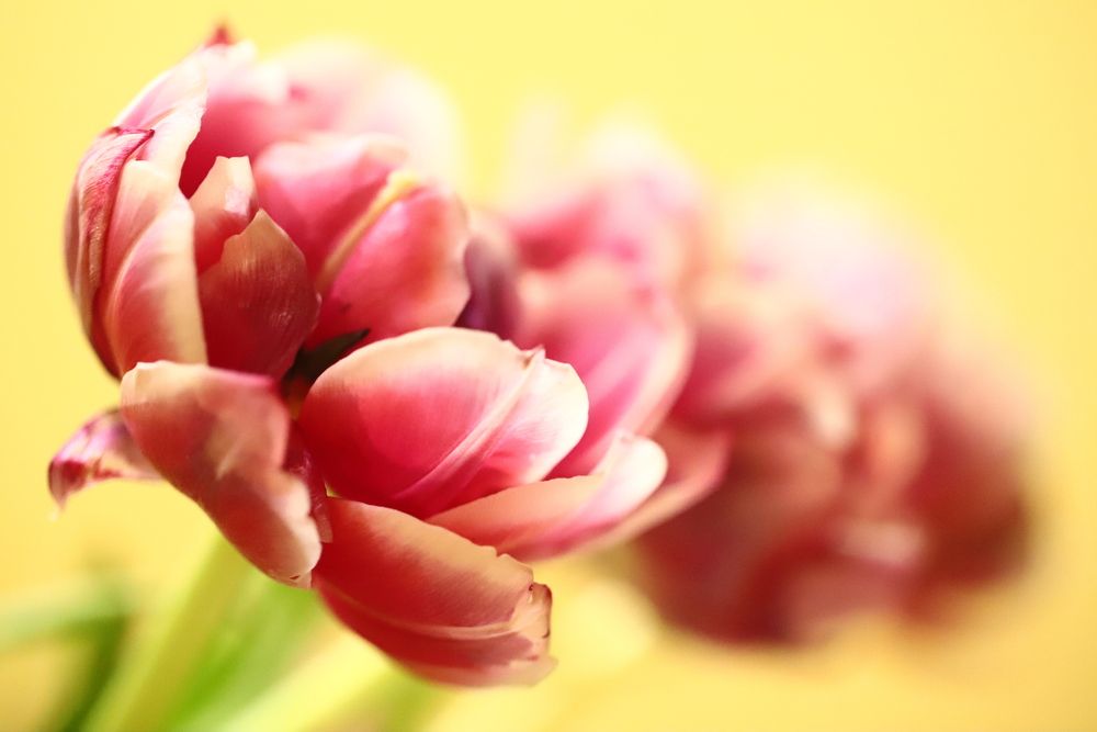 Photograph by Лада Денисова