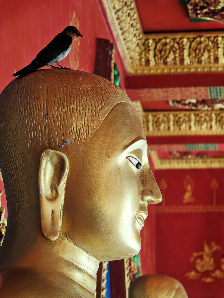 Фотография автора Юлия Есина