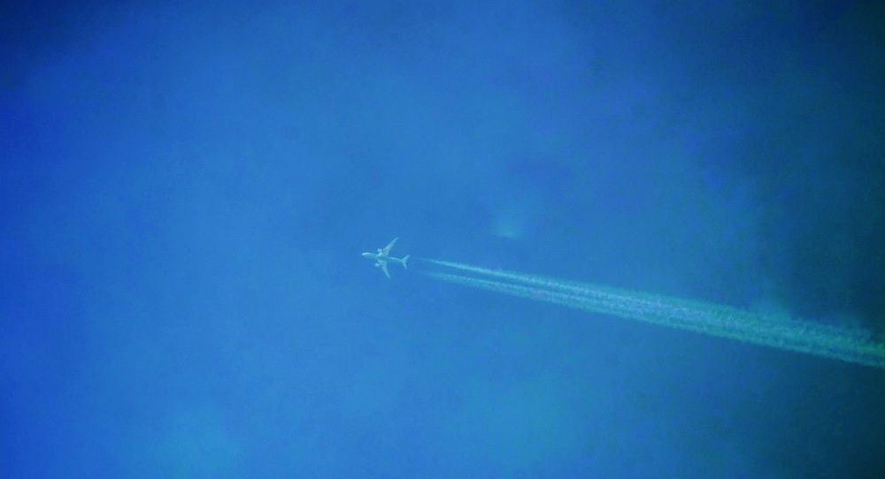 Soaring High!