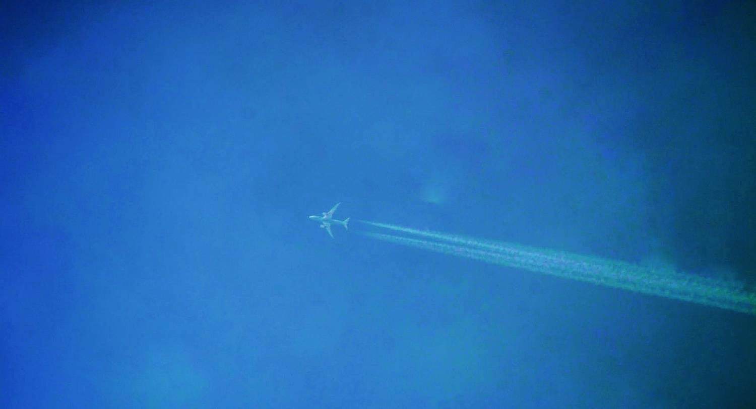 Soaring High!