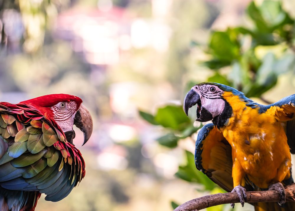 Photograph by Rose-Anne Reyes