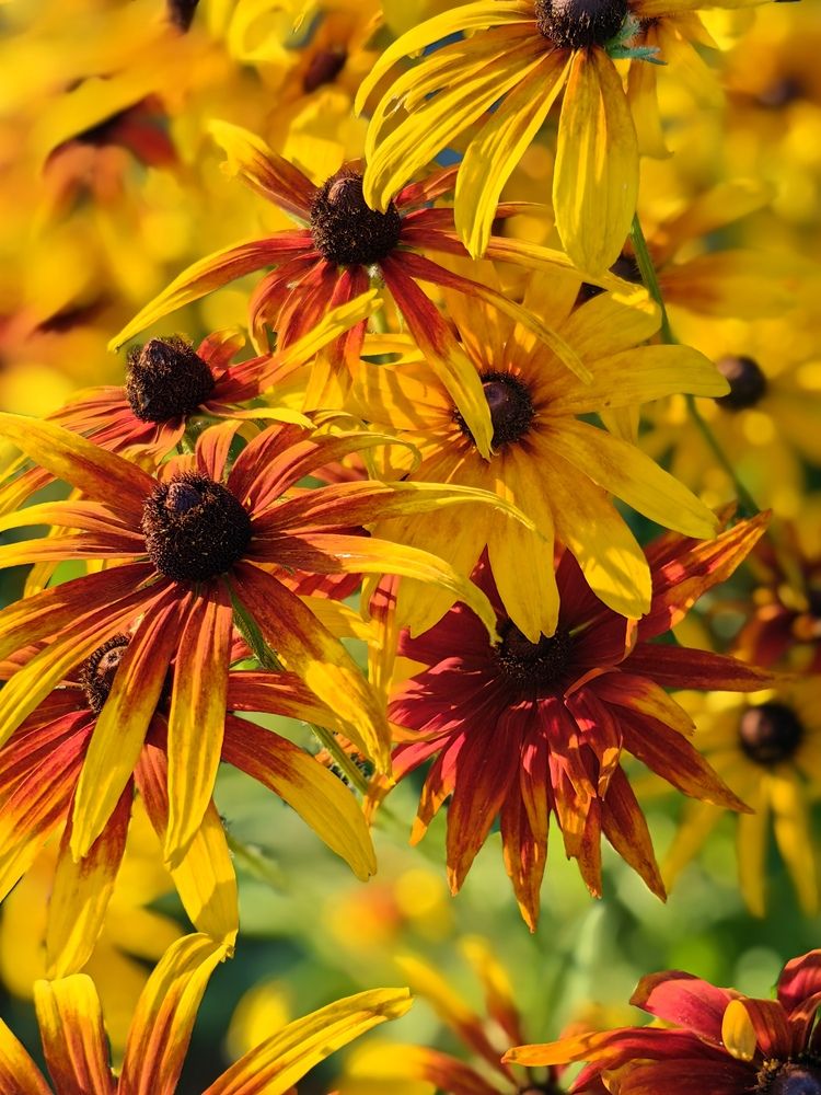 Photograph by OLGA MIKHNEVICH