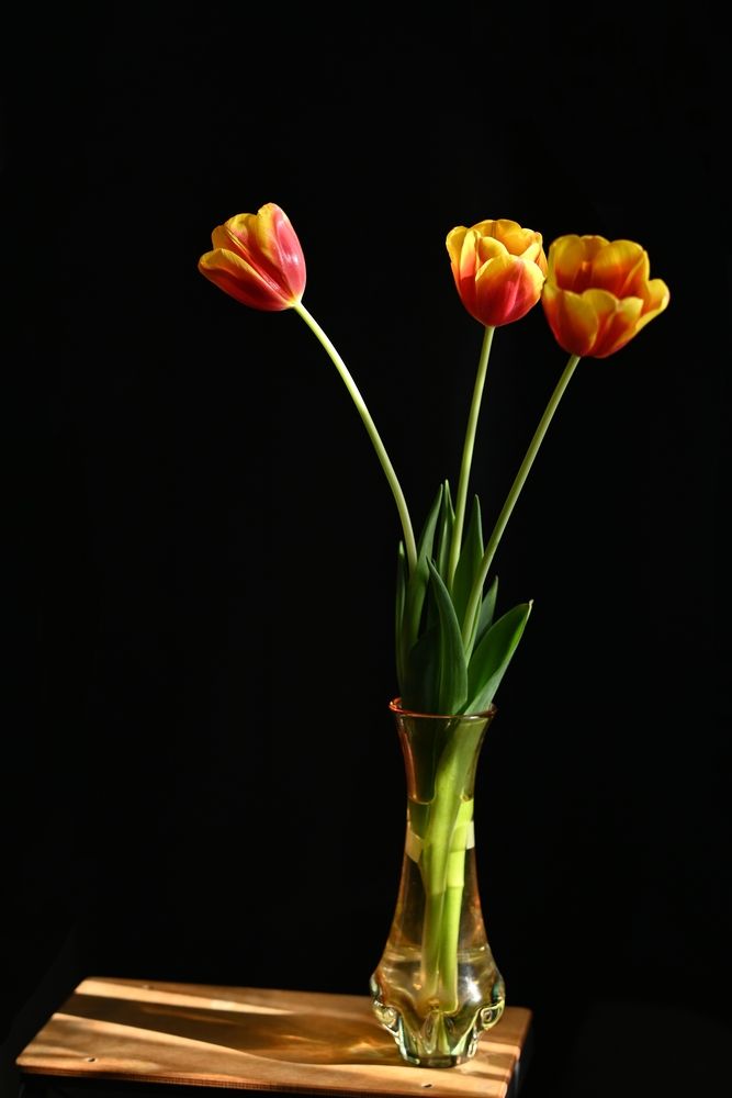 Photograph by Елена Пихурова