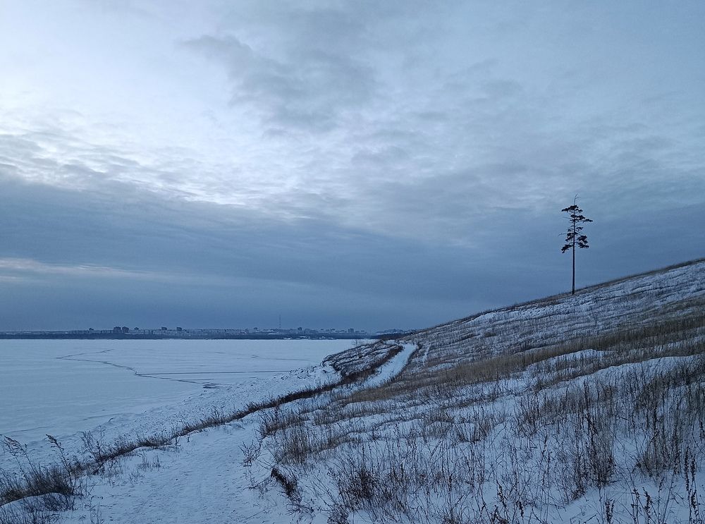 Photo #13437361