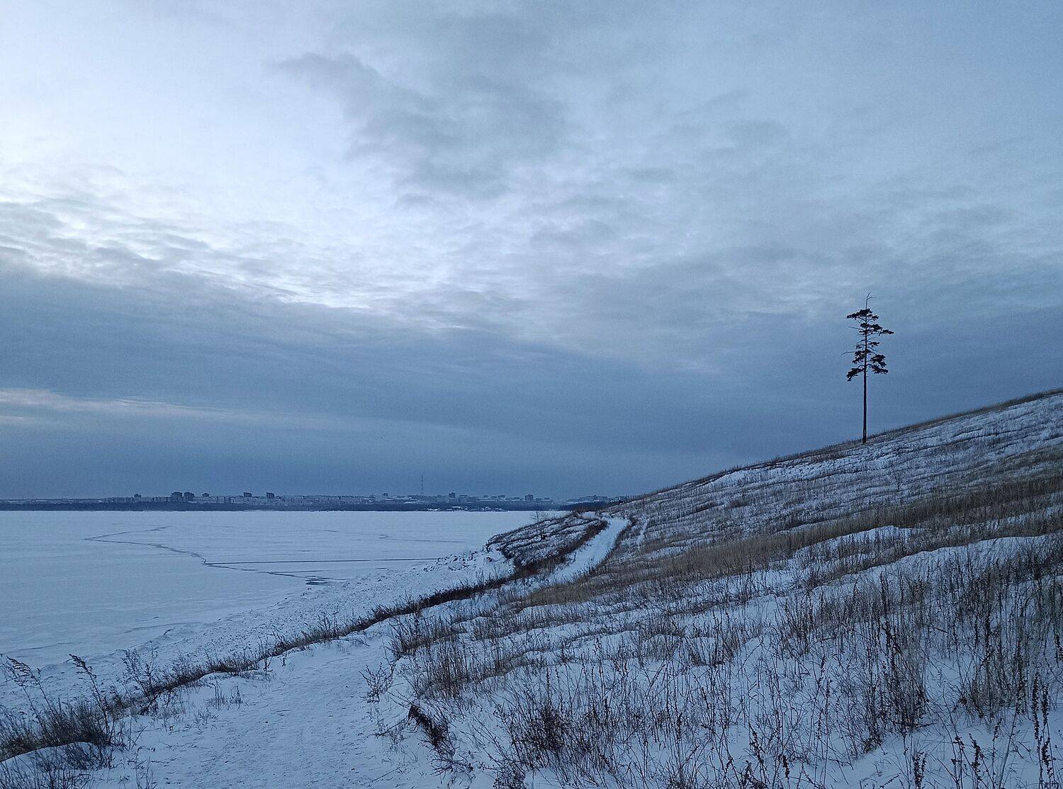 Photo #13437361