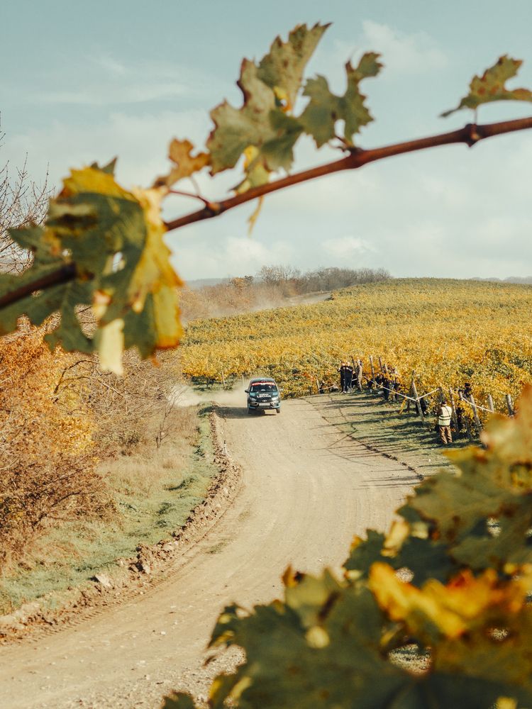 Photograph by Spichkin Nikolay