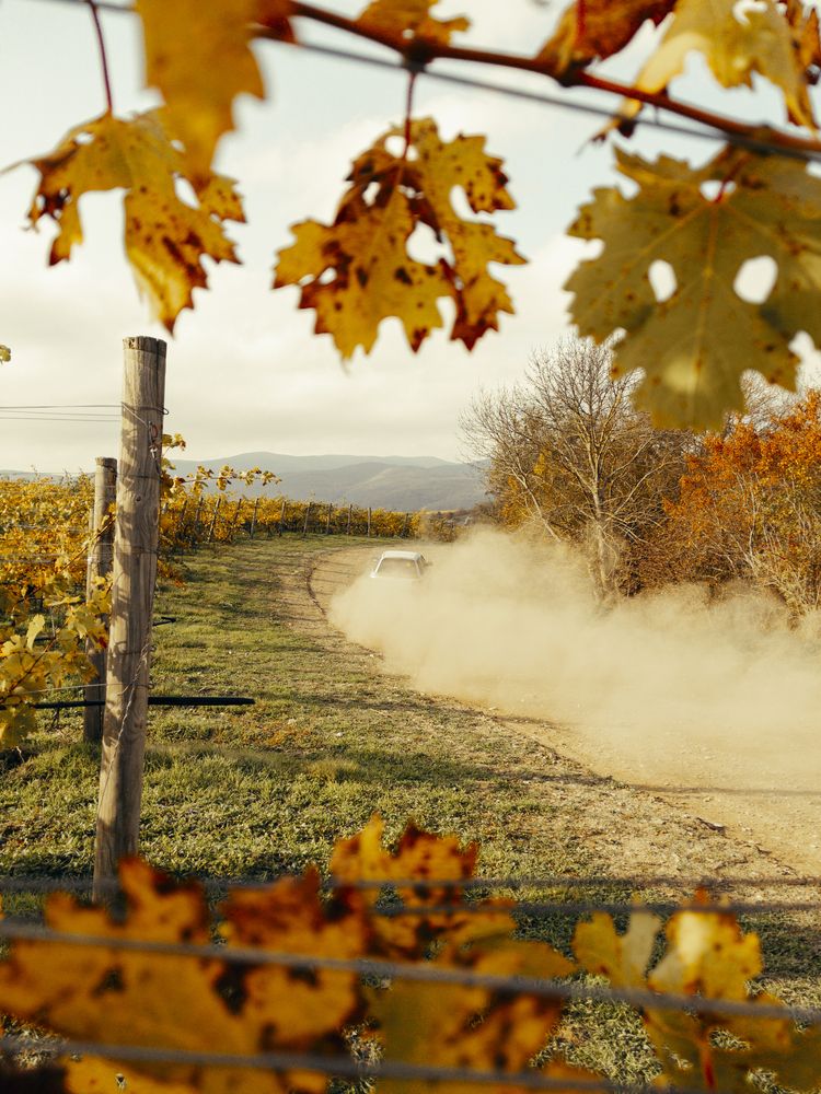 Photo #13437397
