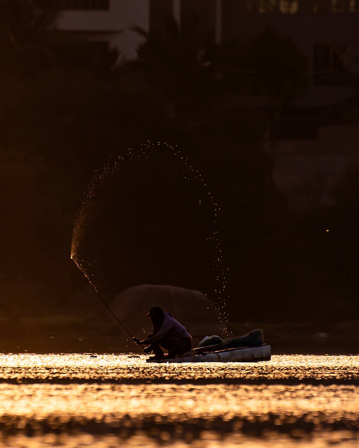 Фотография #13437512