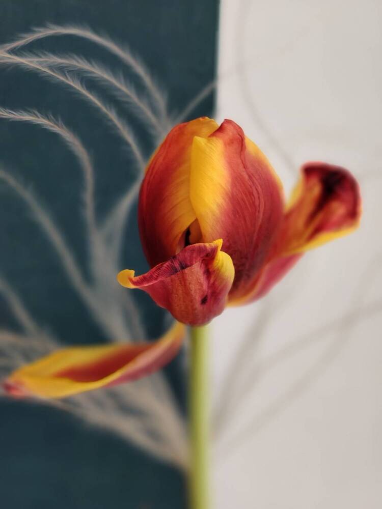 Photograph by Наталья Адалинская