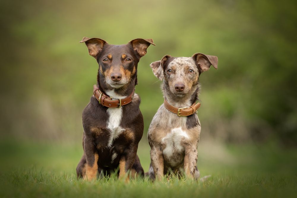 Mother and daughter