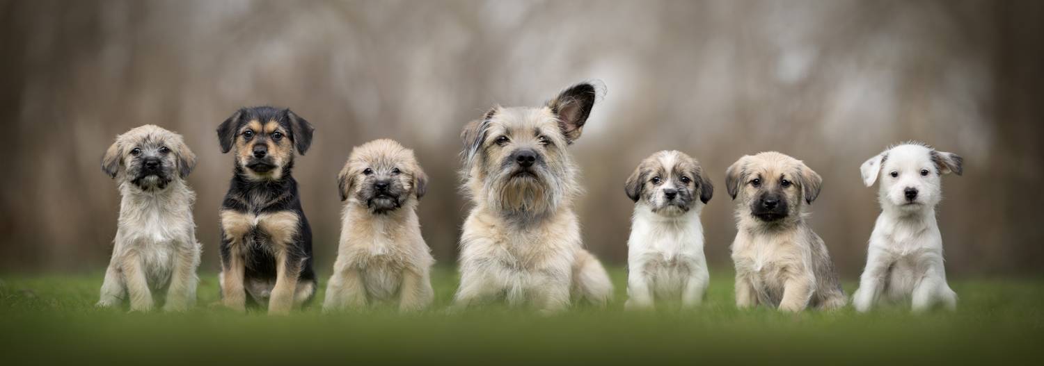 who can say no to these?