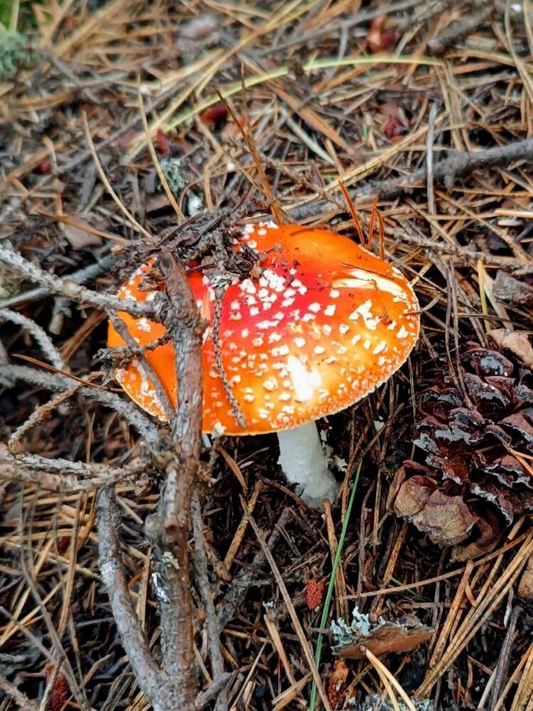 Photograph by Евгения Супрыгина