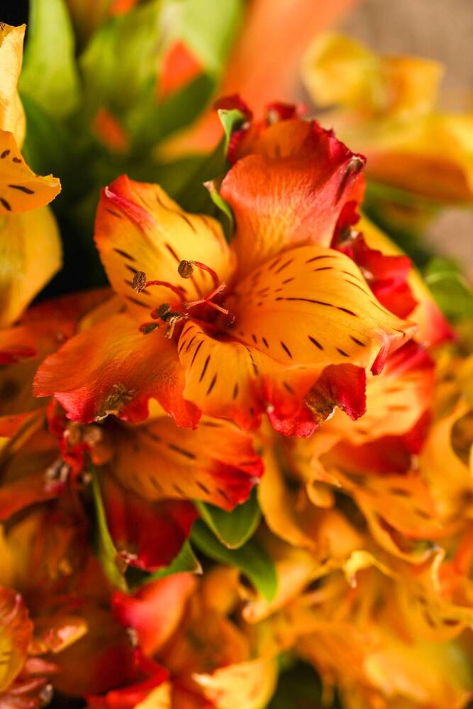 Photograph by Zhenia Vladimirova