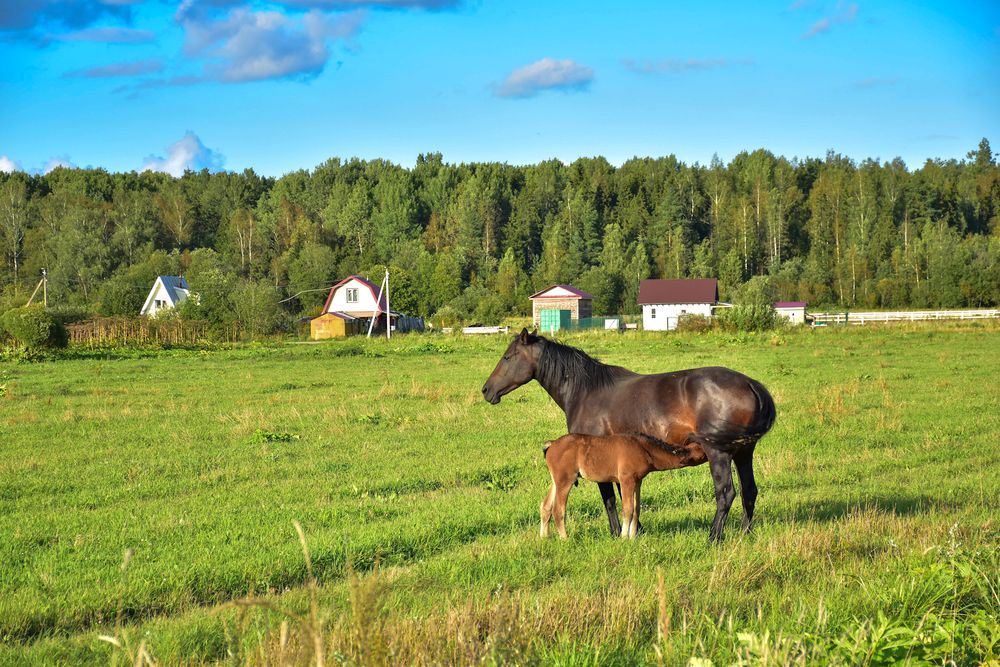 Photograph by Дмитрий Петров