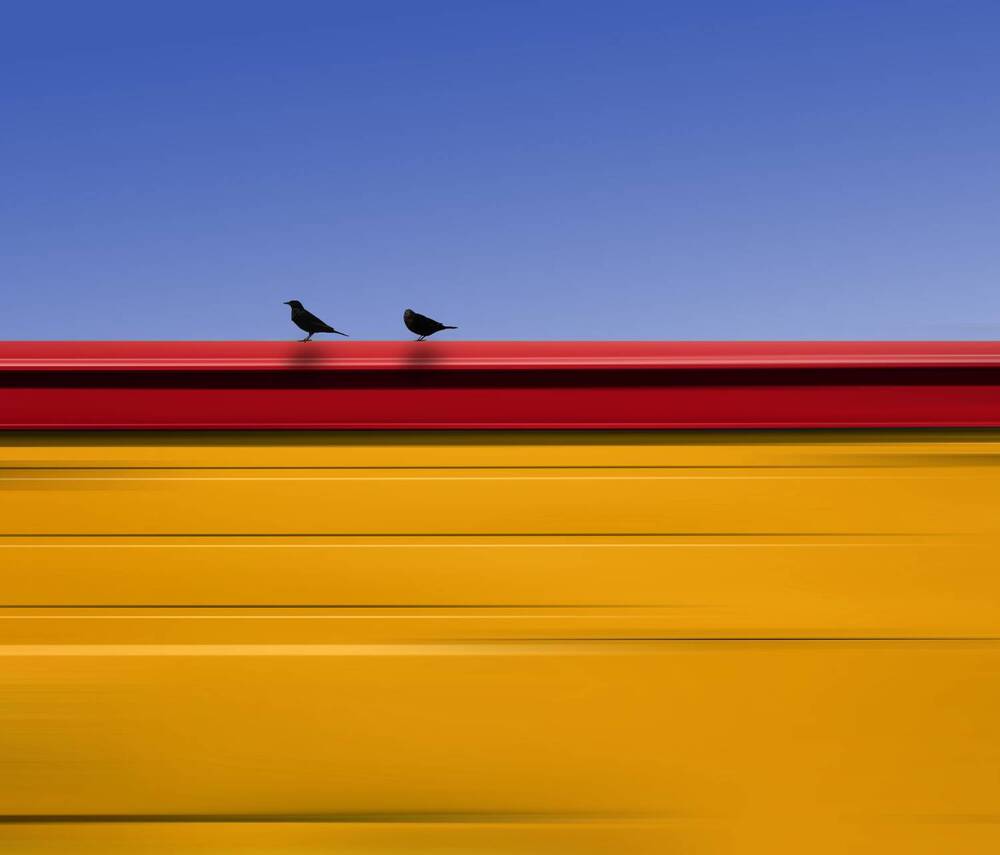 Photograph by Ibrahim Nabeel