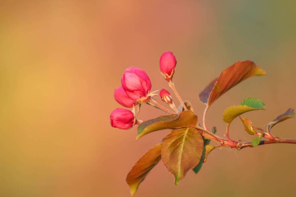 Photograph by Kim Natasha