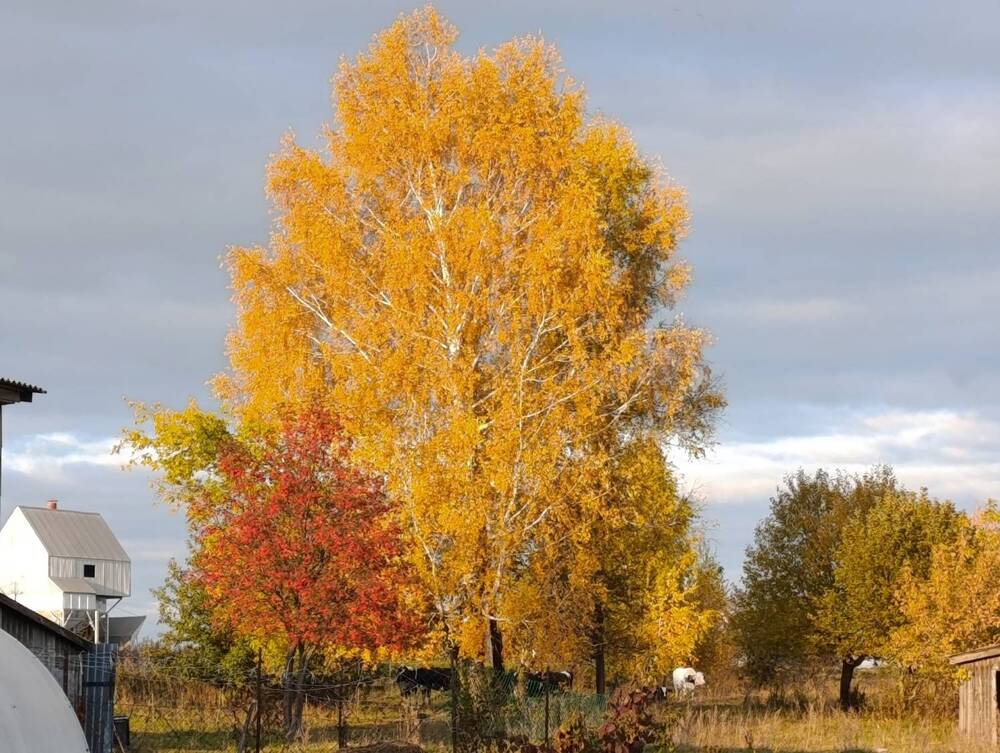 Photograph by Юрий Гордеев