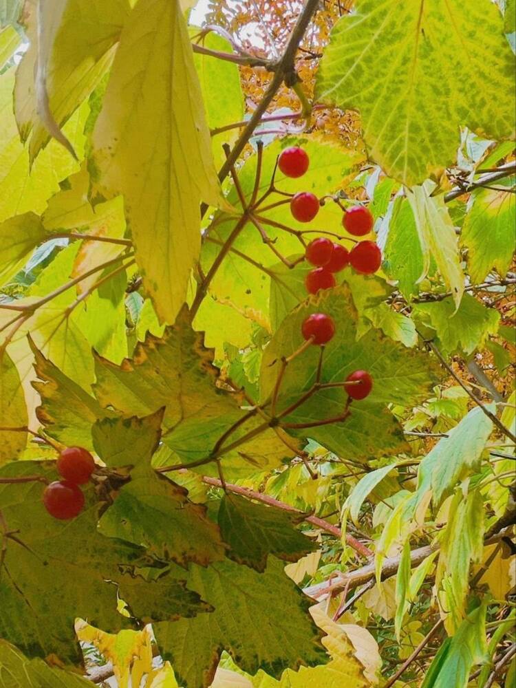 Photograph by Евгения Супрыгина