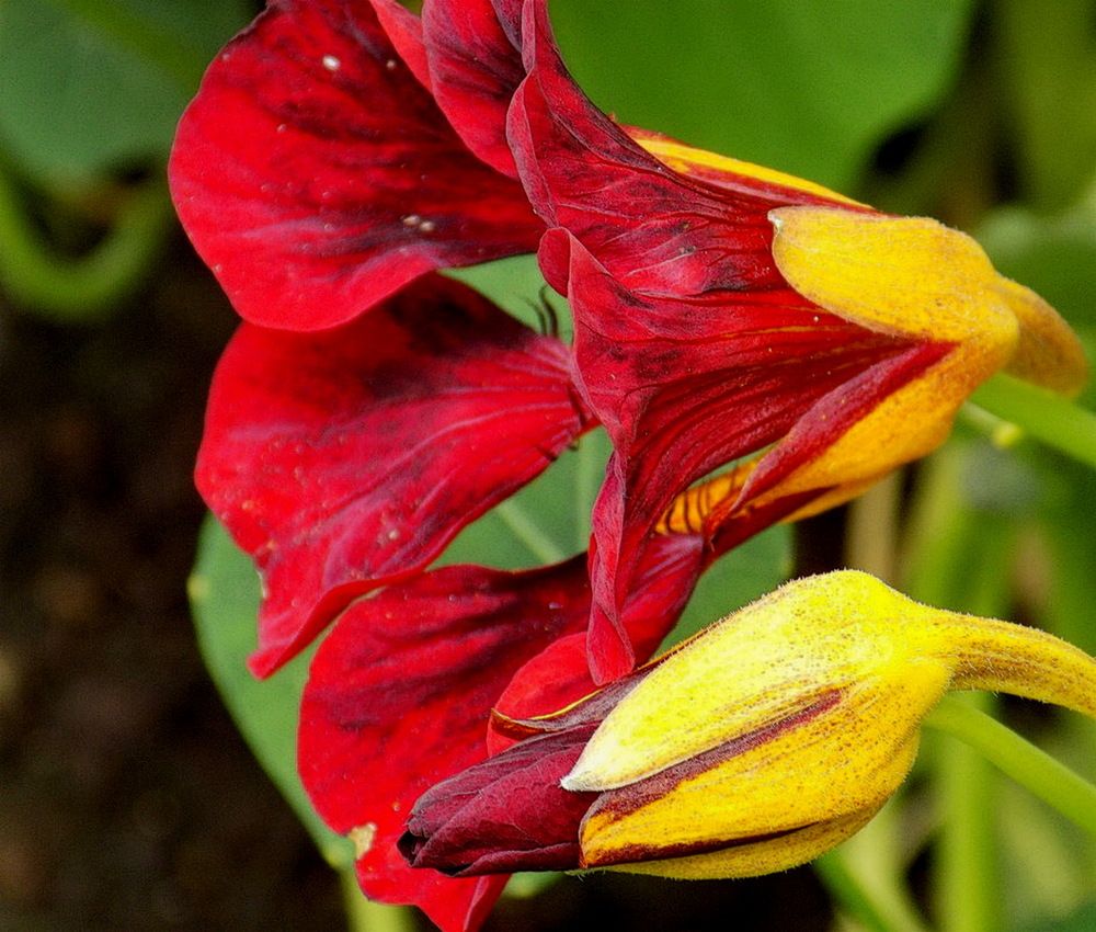 Photograph by Анастасия Смирнова