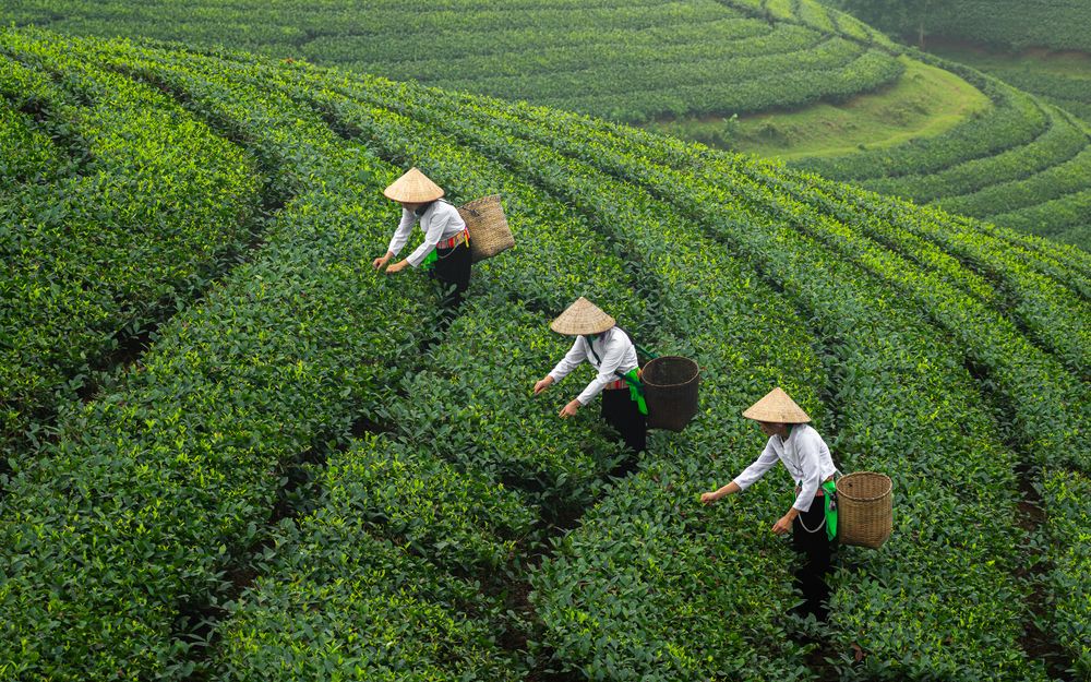 Photograph by Jayakumar MN