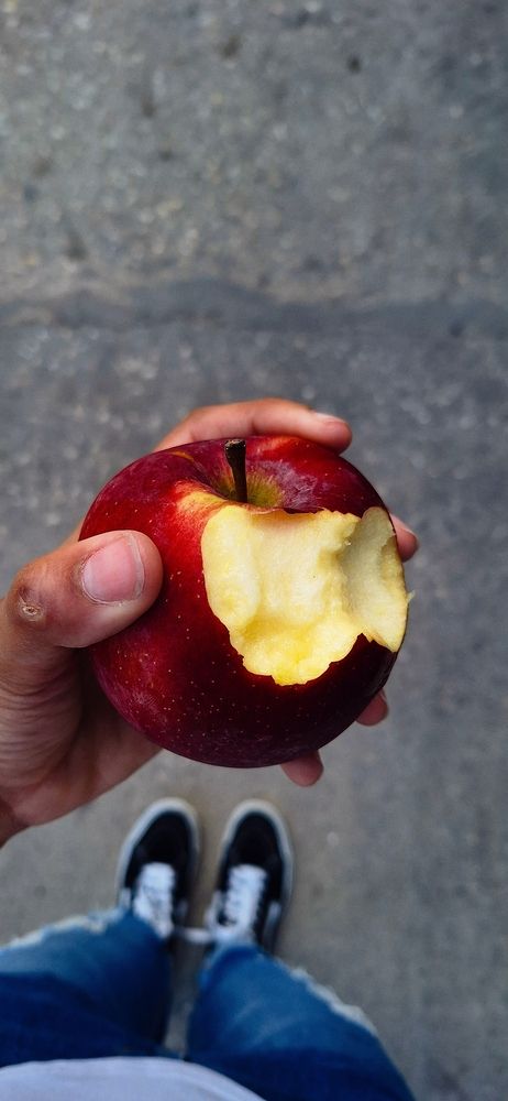 Photograph by Andria Hernández Ruiz