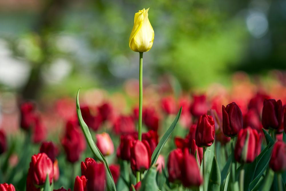 Фотография автора Viktoriya Kim