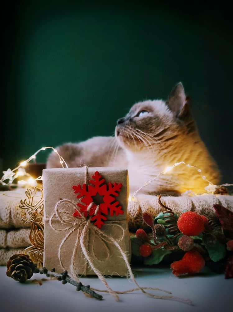 Photograph by Наталья Силантьева