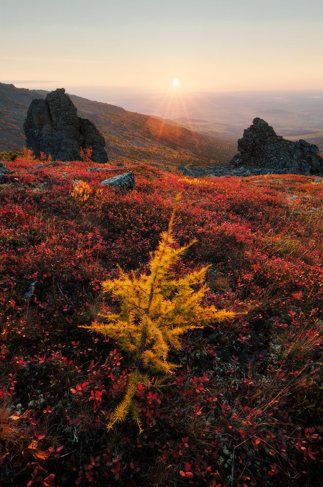 Photograph by Сергей Гарифуллин