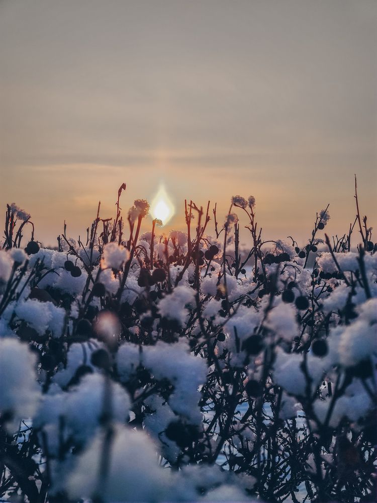 Photograph by Наталья Силантьева