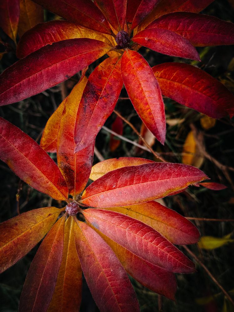 Photograph by Алёна Мозжухина