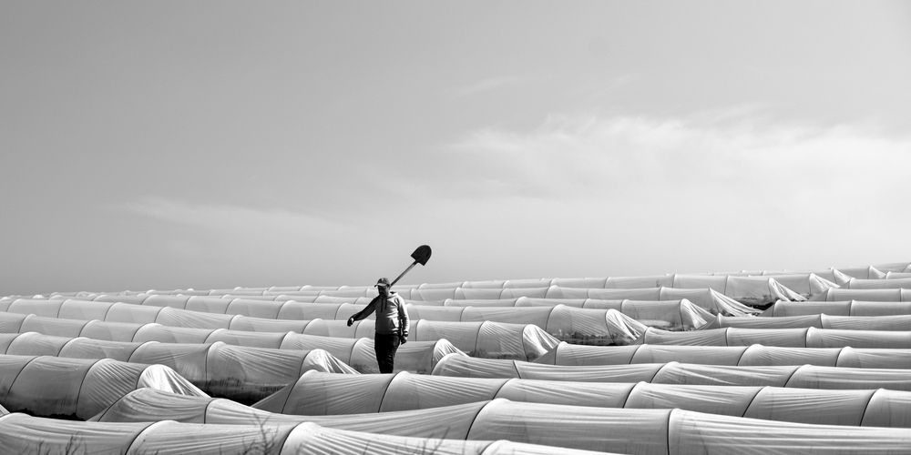 Photograph by Vladimir Shish