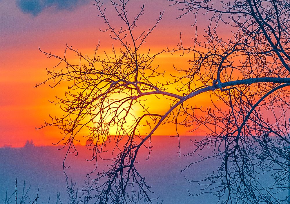 Photograph by Виктор Садырин