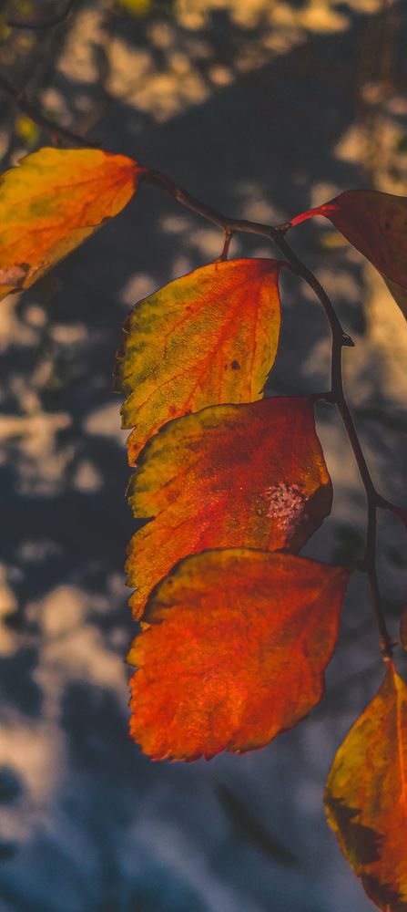 Photograph by Дмитрий Писарев