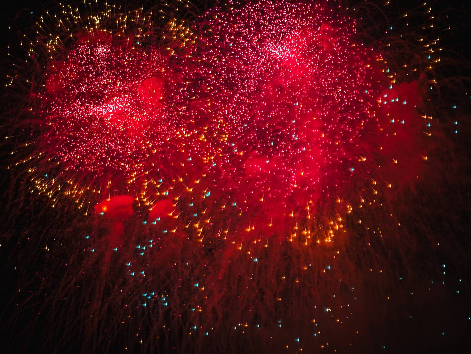 Photo #13439250