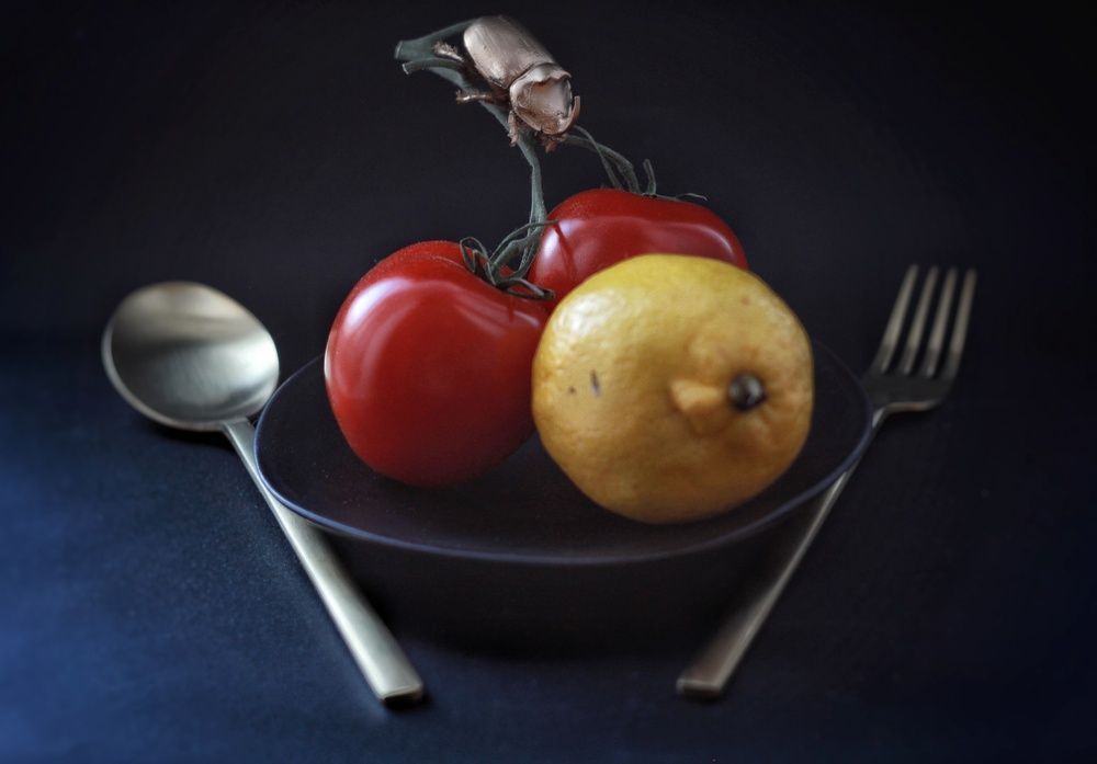 Photograph by AlexaL