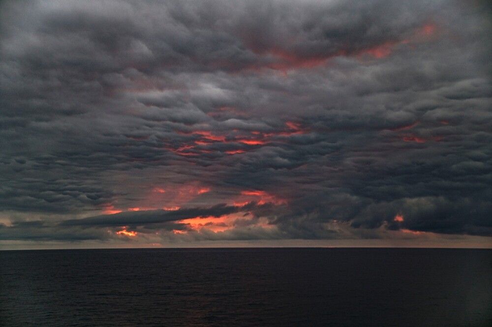 Photograph by Алексей Логинов