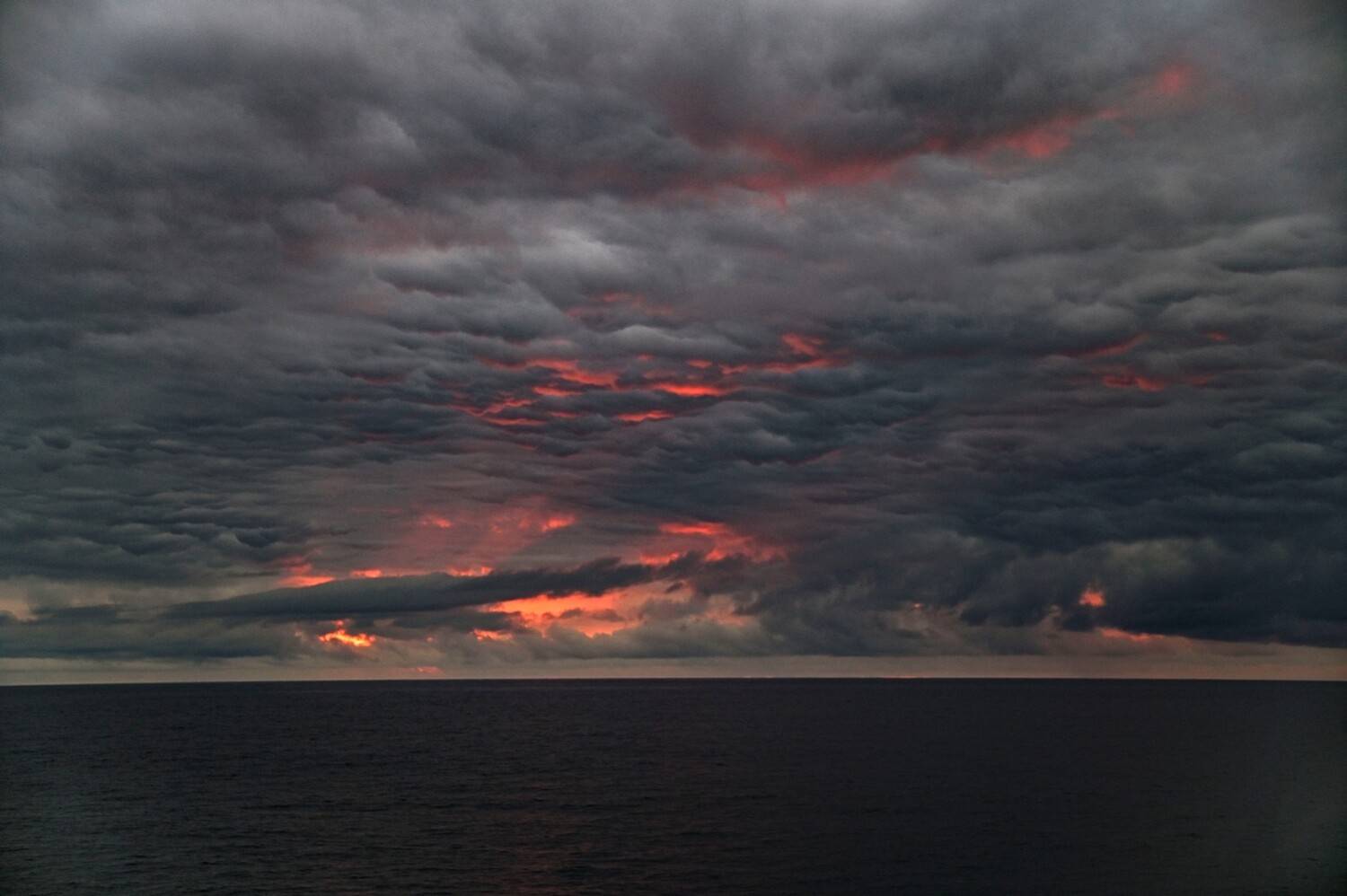 Photo #13439321