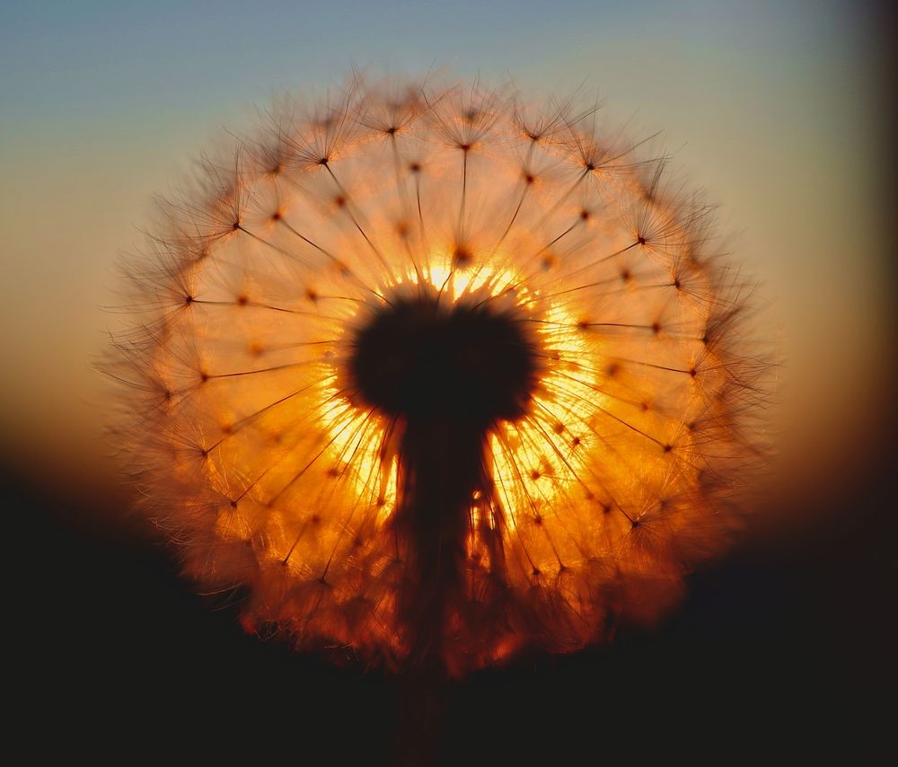 Photograph by Наталья Адалинская