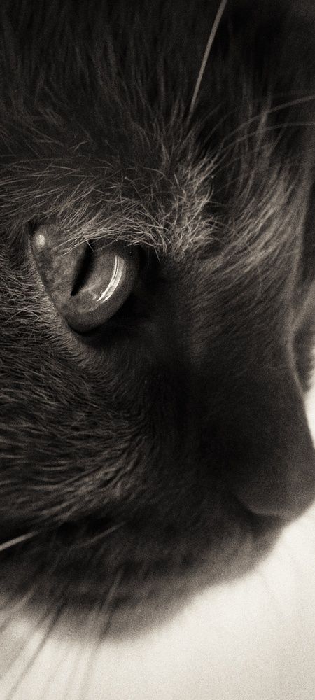 Photograph by Петр Тремасов