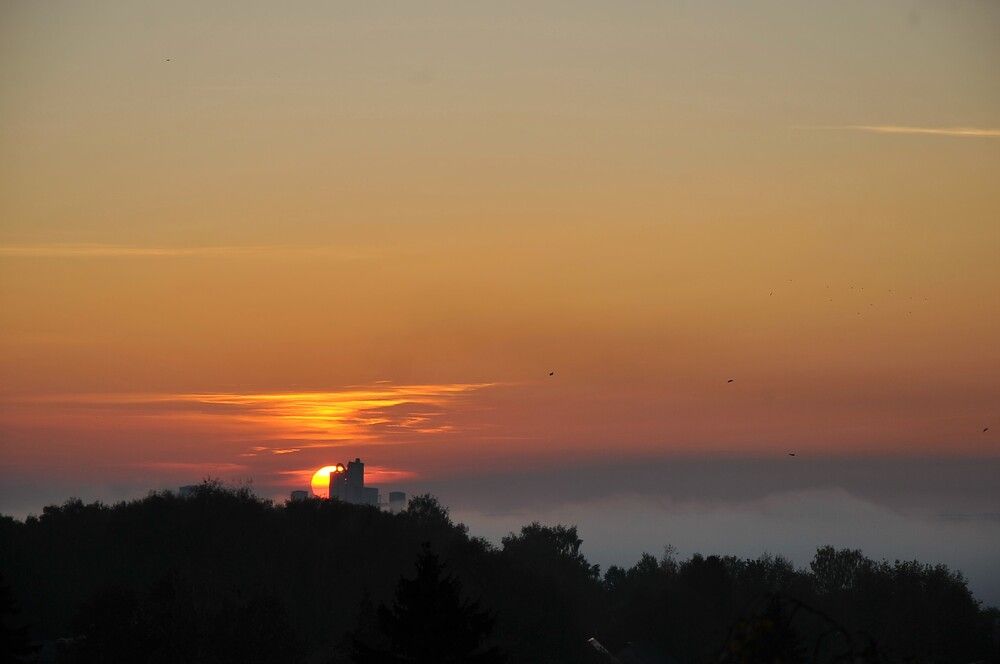 Фотография автора Ольга Пушленкова