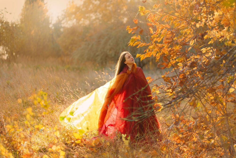 Red in the golden fall