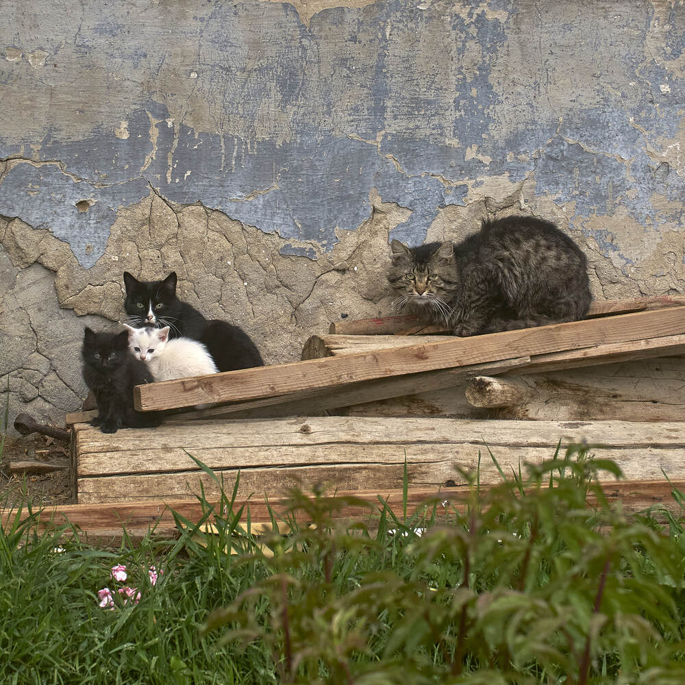 Photograph by Карпович Максим