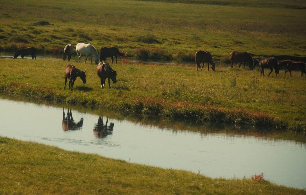 Photograph by Юлия Камчатская