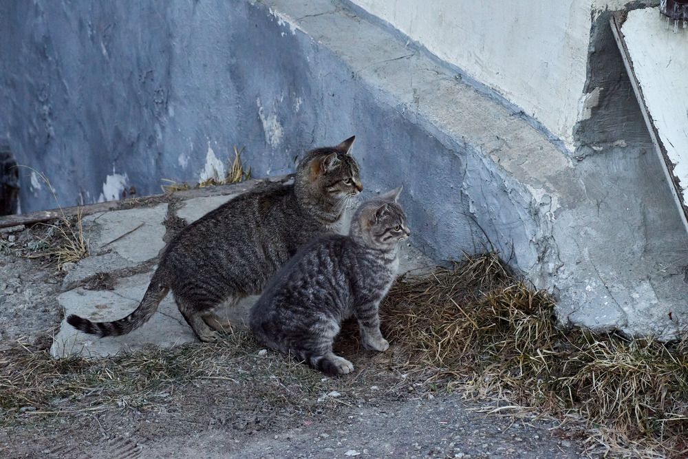 Photograph by Карпович Максим
