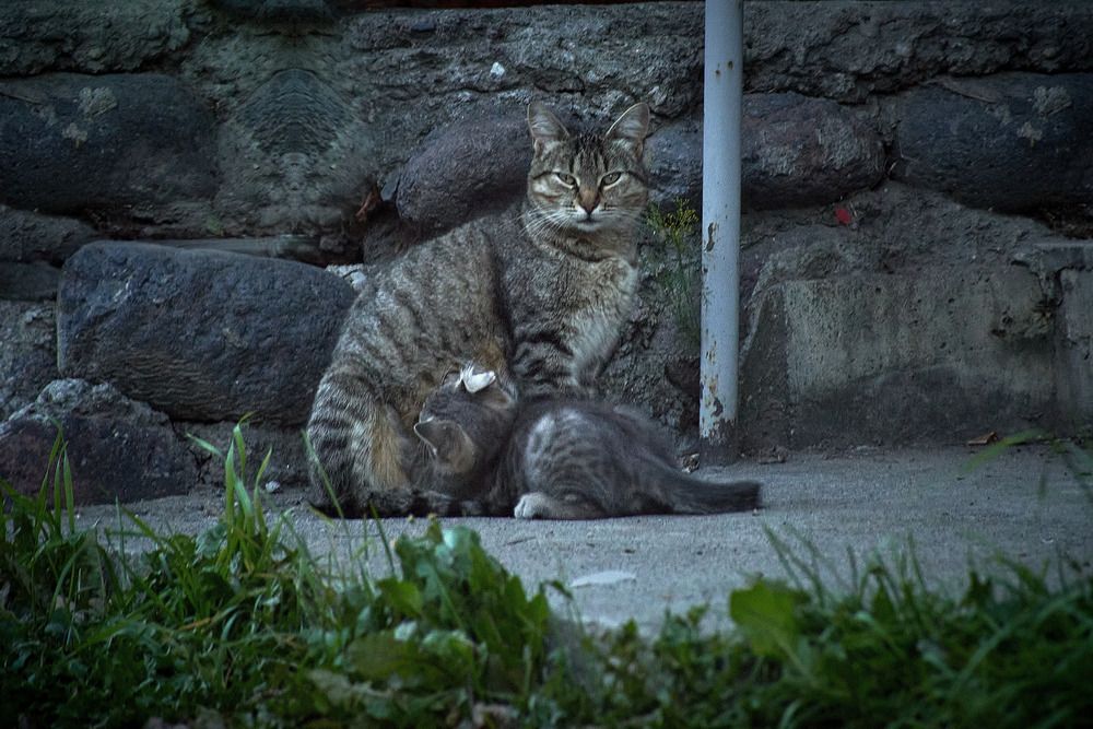 Photograph by Карпович Максим