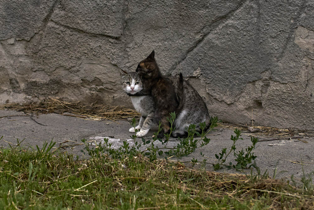 Photograph by Карпович Максим