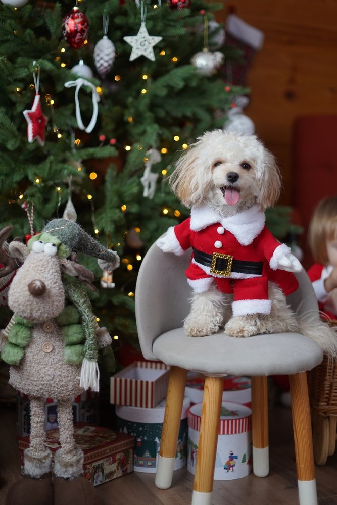 Photograph by Анастасия Позинич