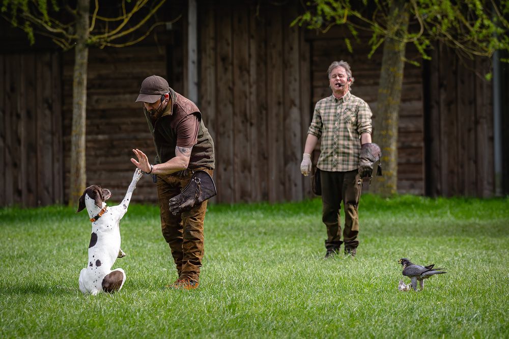 Фотография автора Zavaydin Zavaydinov