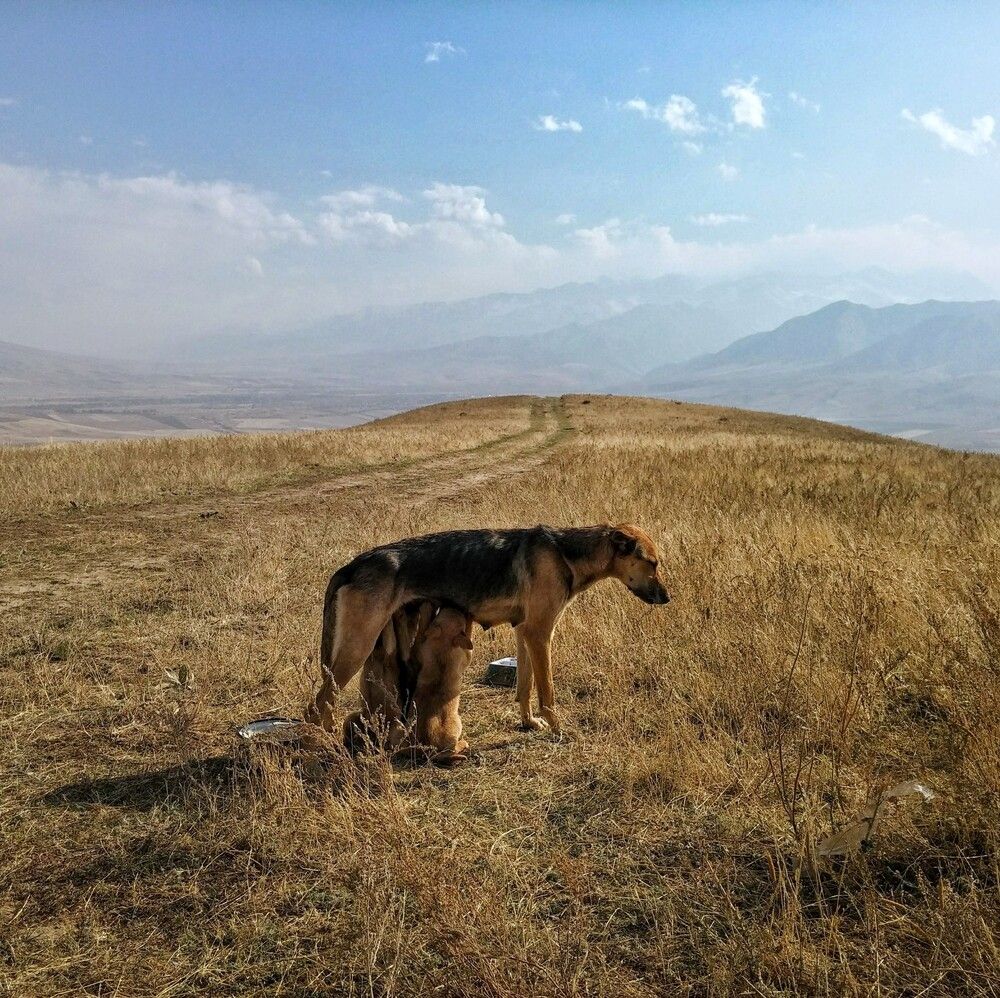 Photograph by Орынбек Асилбаев