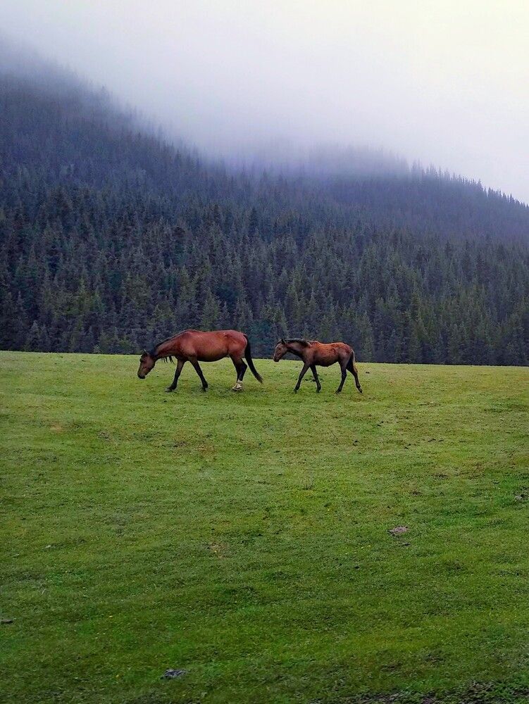 Photograph by Орынбек Асилбаев